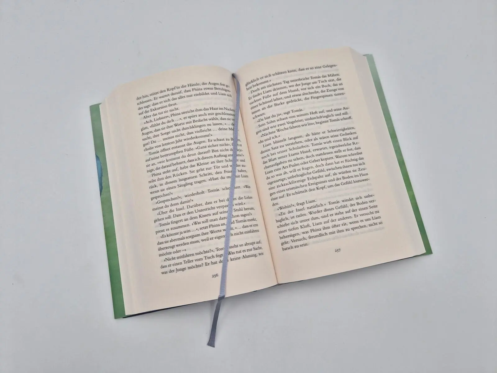 Bild: 9783492074568 | Land | Maggie O'Farrell | Buch | 576 S. | Deutsch | 2026