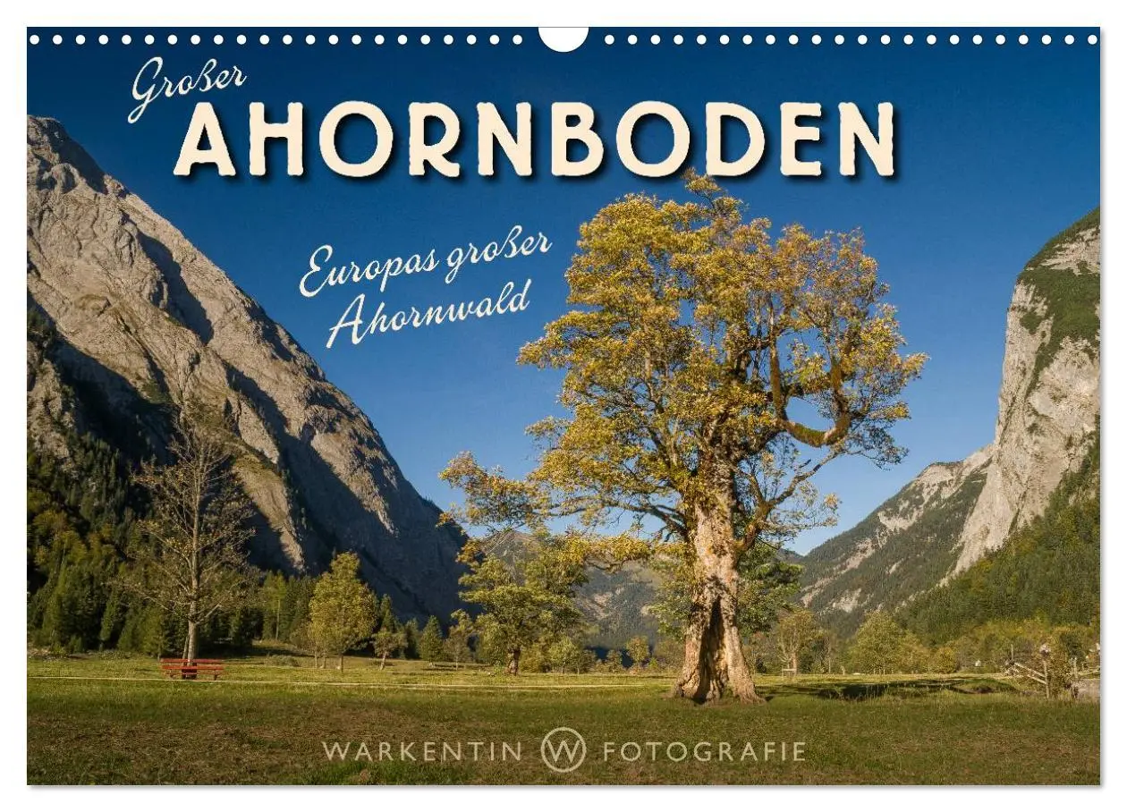 Cover: 9783516064568 | Großer Ahornboden - Europas großer Ahornwald (Wandkalender 2026 DIN...