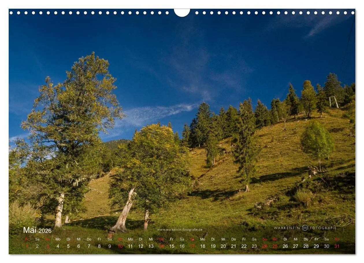 Bild: 9783516064568 | Großer Ahornboden - Europas großer Ahornwald (Wandkalender 2026 DIN...