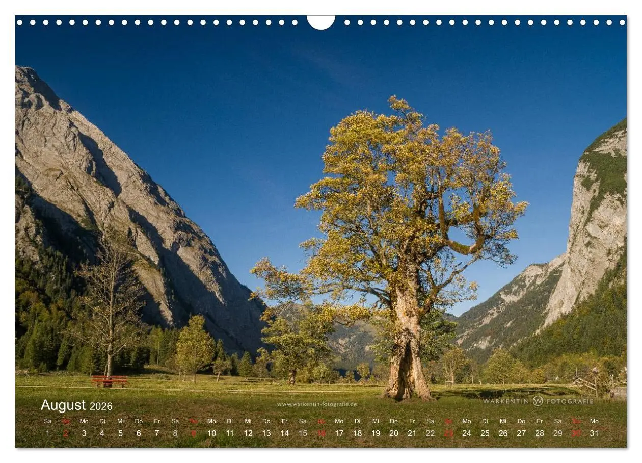 Bild: 9783516064568 | Großer Ahornboden - Europas großer Ahornwald (Wandkalender 2026 DIN...