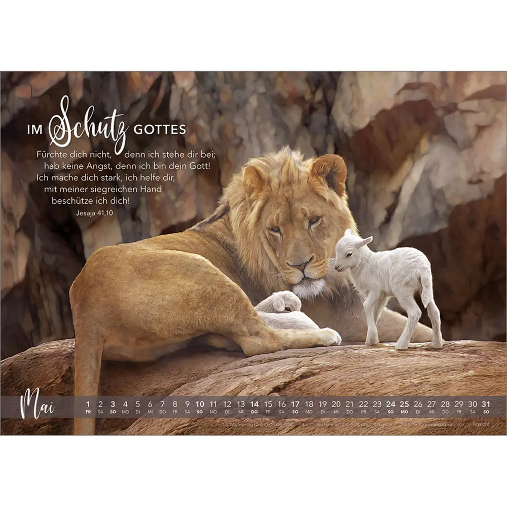 Bild: 9783754804568 | Die Liebe bleibt 2026 | Himmlische Verheißungen für dich und mich