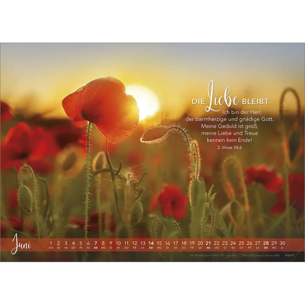 Bild: 9783754804568 | Die Liebe bleibt 2026 | Himmlische Verheißungen für dich und mich