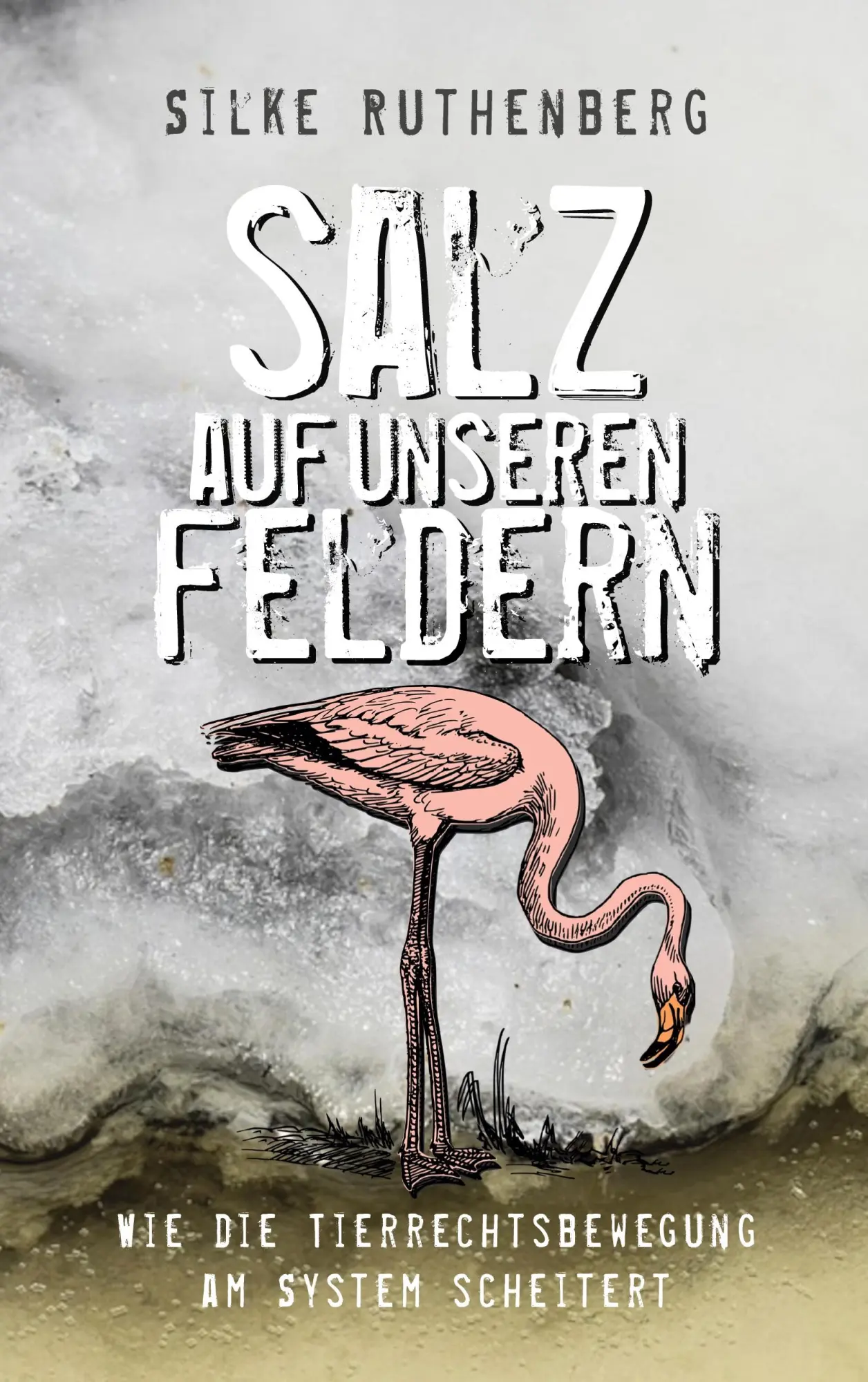 Cover: 9783819244568 | Salz auf unseren Feldern | Silke Ruthenberg | Taschenbuch | 276 S.