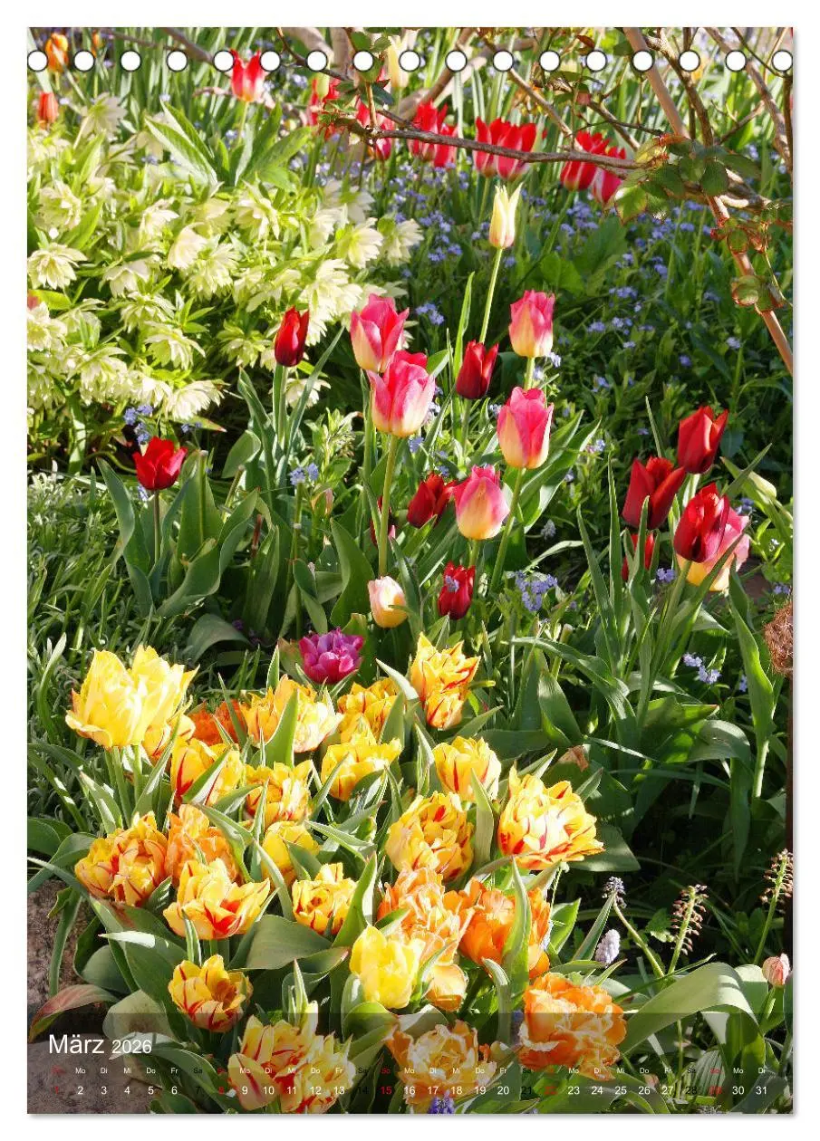 Bild: 9783516364668 | Ferien im Garten (Tischkalender 2026 DIN A5 hoch), CALVENDO...