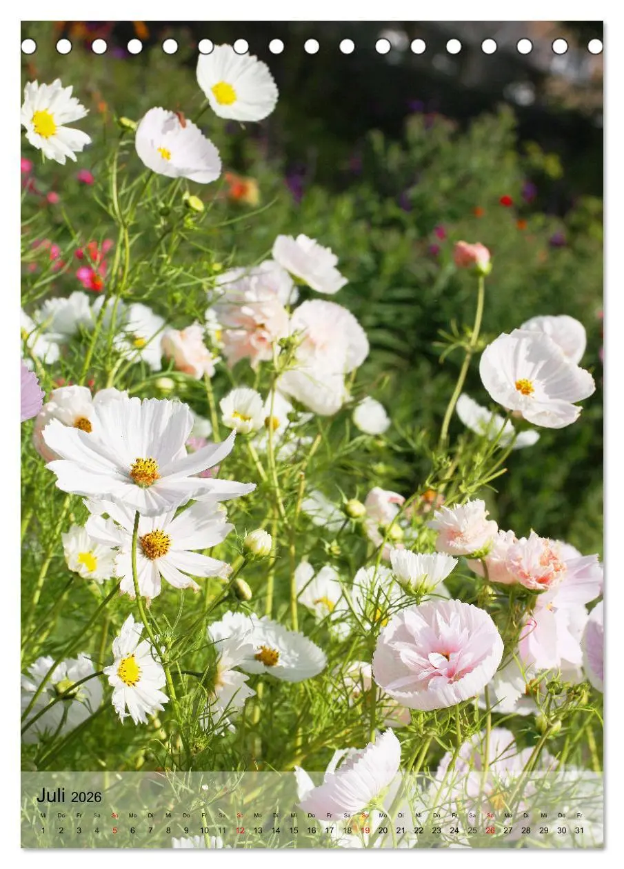 Bild: 9783516364668 | Ferien im Garten (Tischkalender 2026 DIN A5 hoch), CALVENDO...