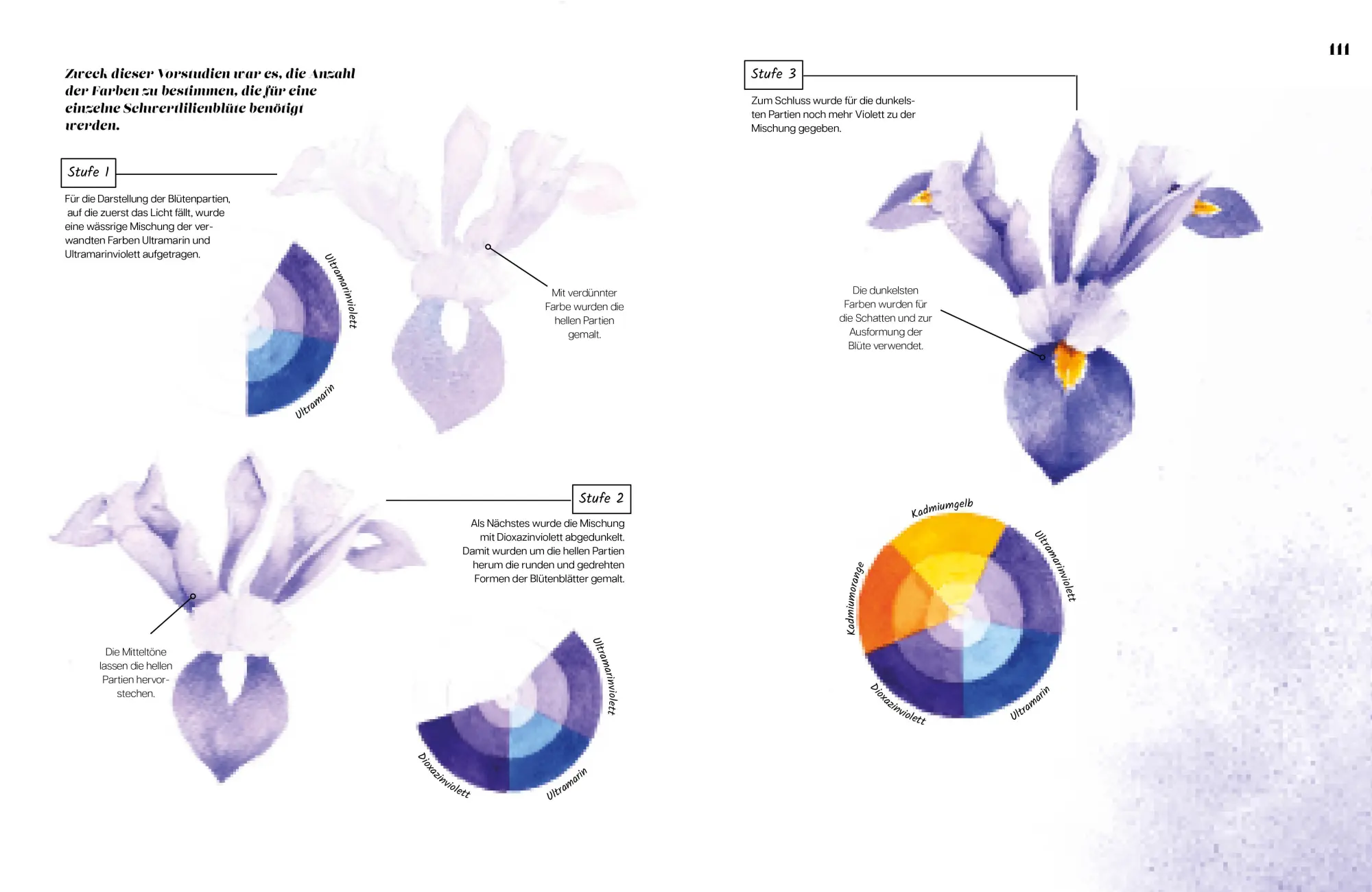 Bild: 9783830714668 | Die Anatomie der Farben | Richard Taylor | Taschenbuch | 128 S. | 2025