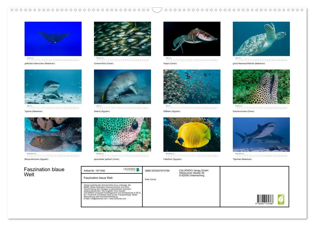 Bild: 9783457574768 | Faszination blaue Welt (Wandkalender 2026 DIN A2 quer), CALVENDO...