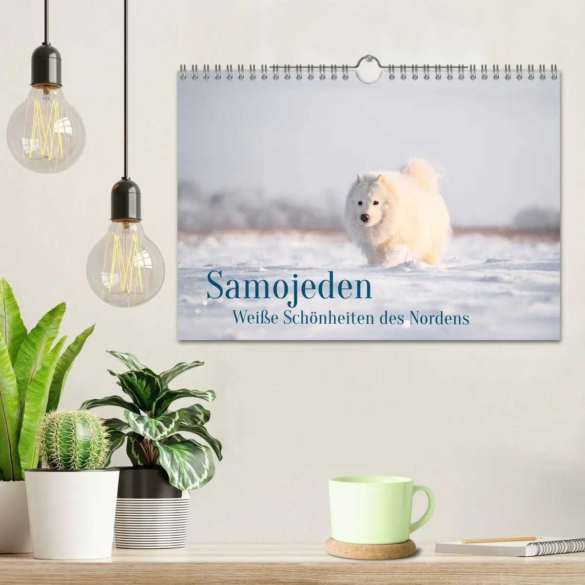 Bild: 9783457954768 | Samojeden - Liebenswerte Fellkugeln (Wandkalender 2026 DIN A4...