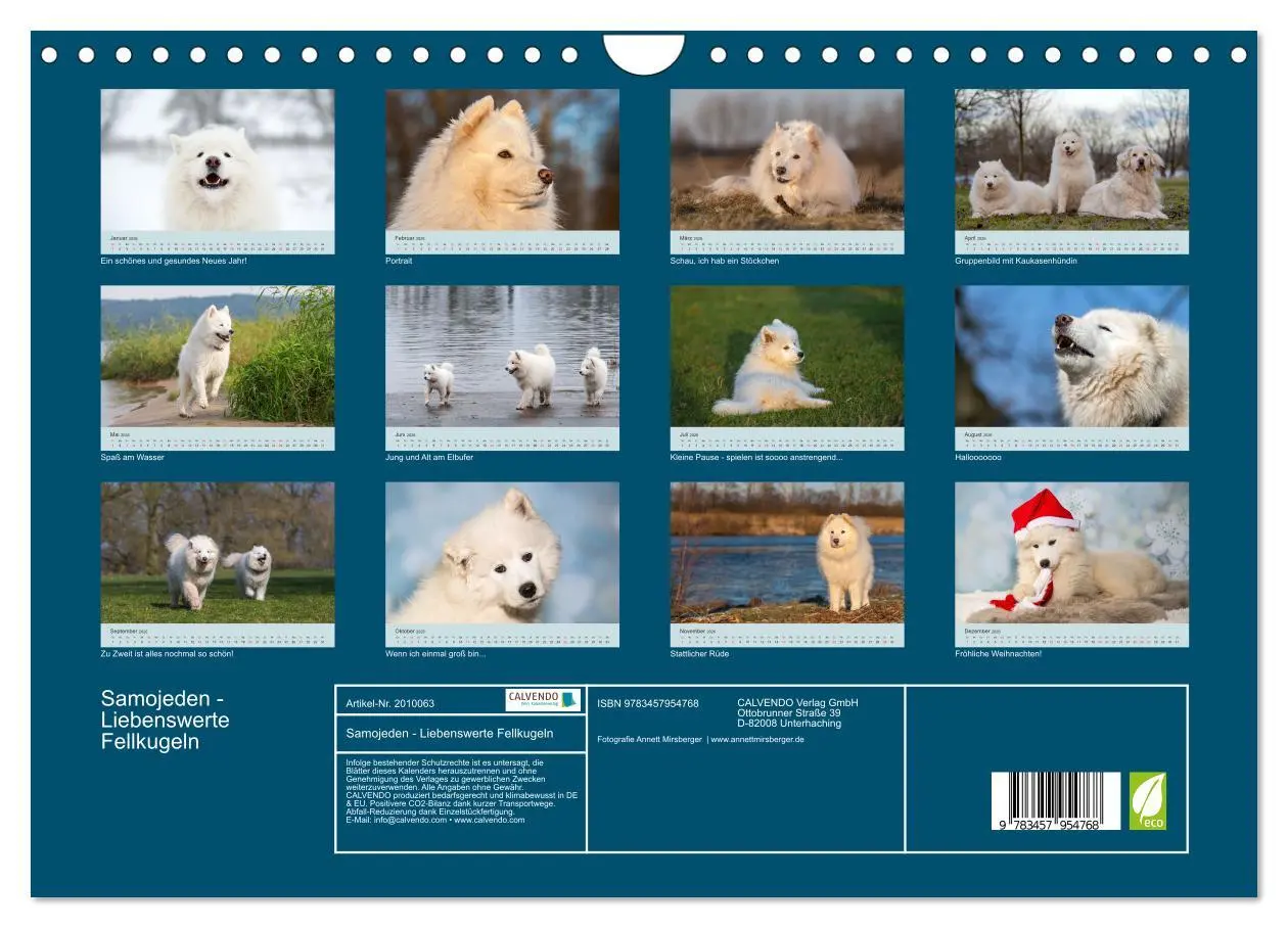 Bild: 9783457954768 | Samojeden - Liebenswerte Fellkugeln (Wandkalender 2026 DIN A4...