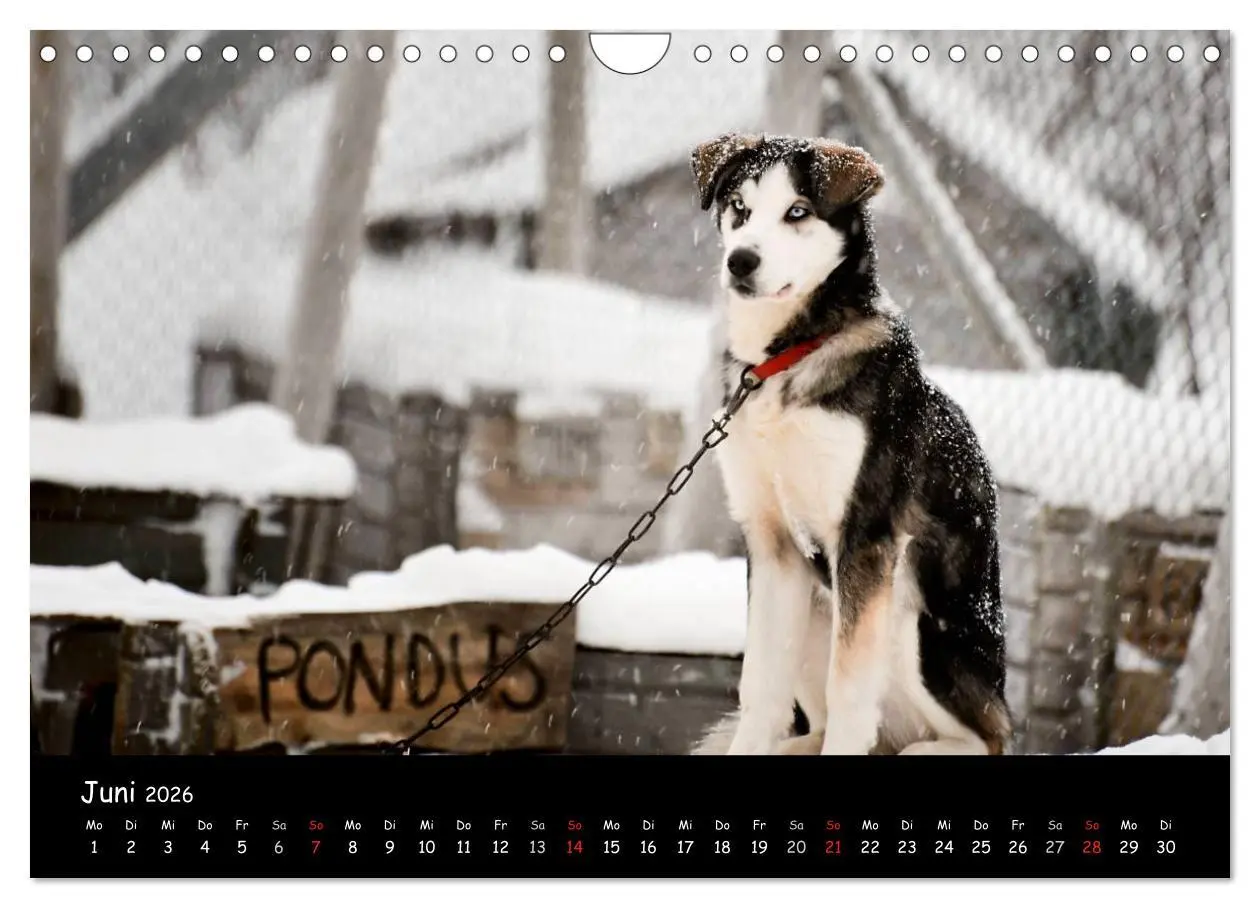 Bild: 9783516114768 | Norwegen (Wandkalender 2026 DIN A4 quer), CALVENDO Monatskalender