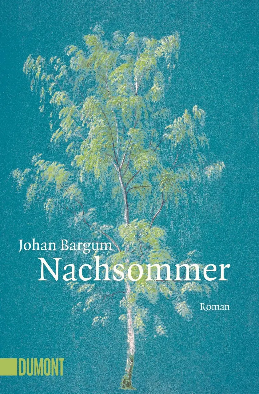 Cover: 9783832164768 | Nachsommer | Johan Bargum | Taschenbuch | 144 S. | Deutsch | 2019