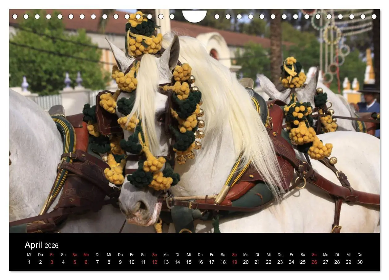 Bild: 9783516024968 | Caballos Spanische Pferde 2026 (Wandkalender 2026 DIN A4 quer),...