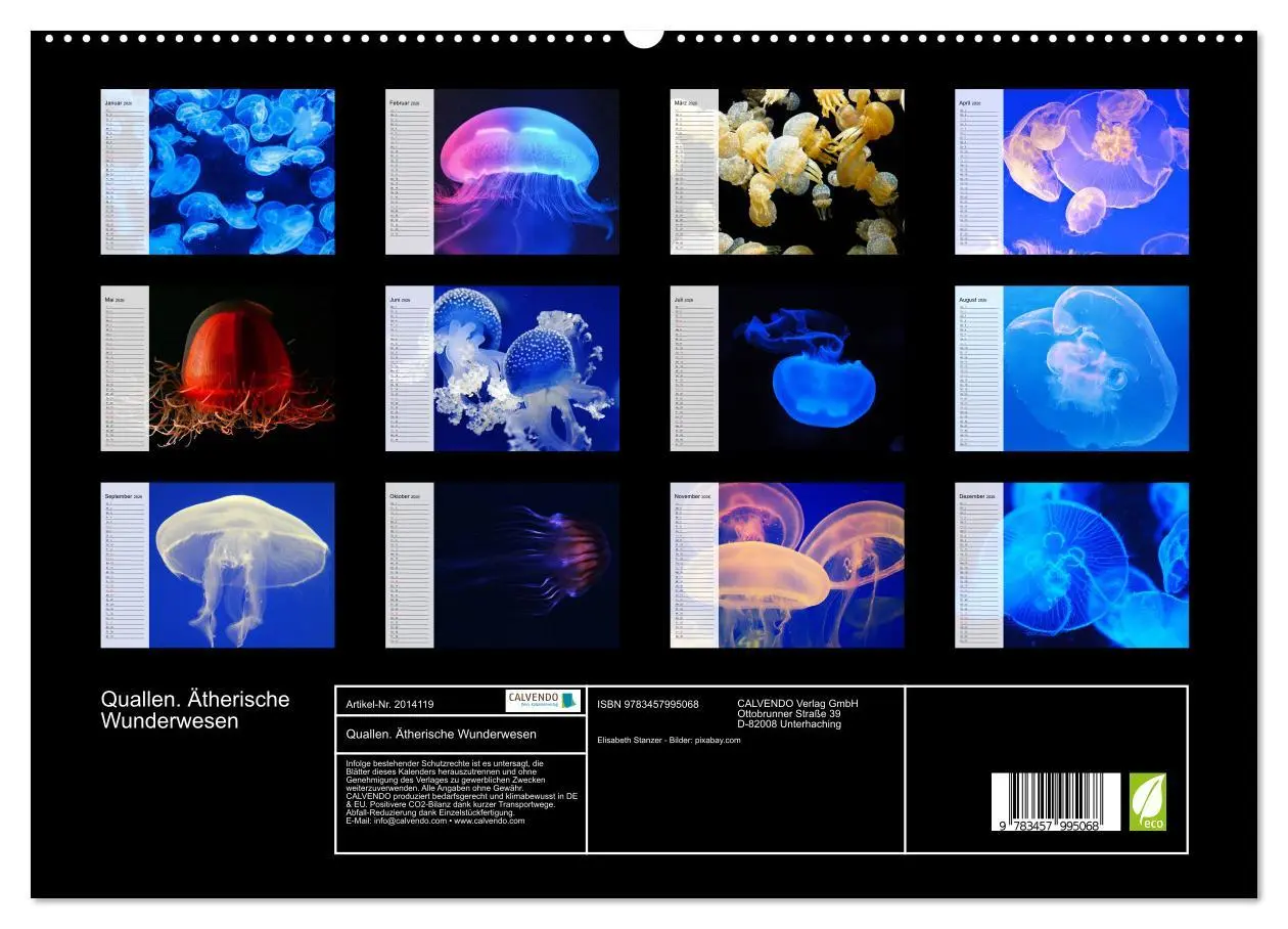 Bild: 9783457995068 | Quallen. Ätherische Wunderwesen (hochwertiger Premium Wandkalender...