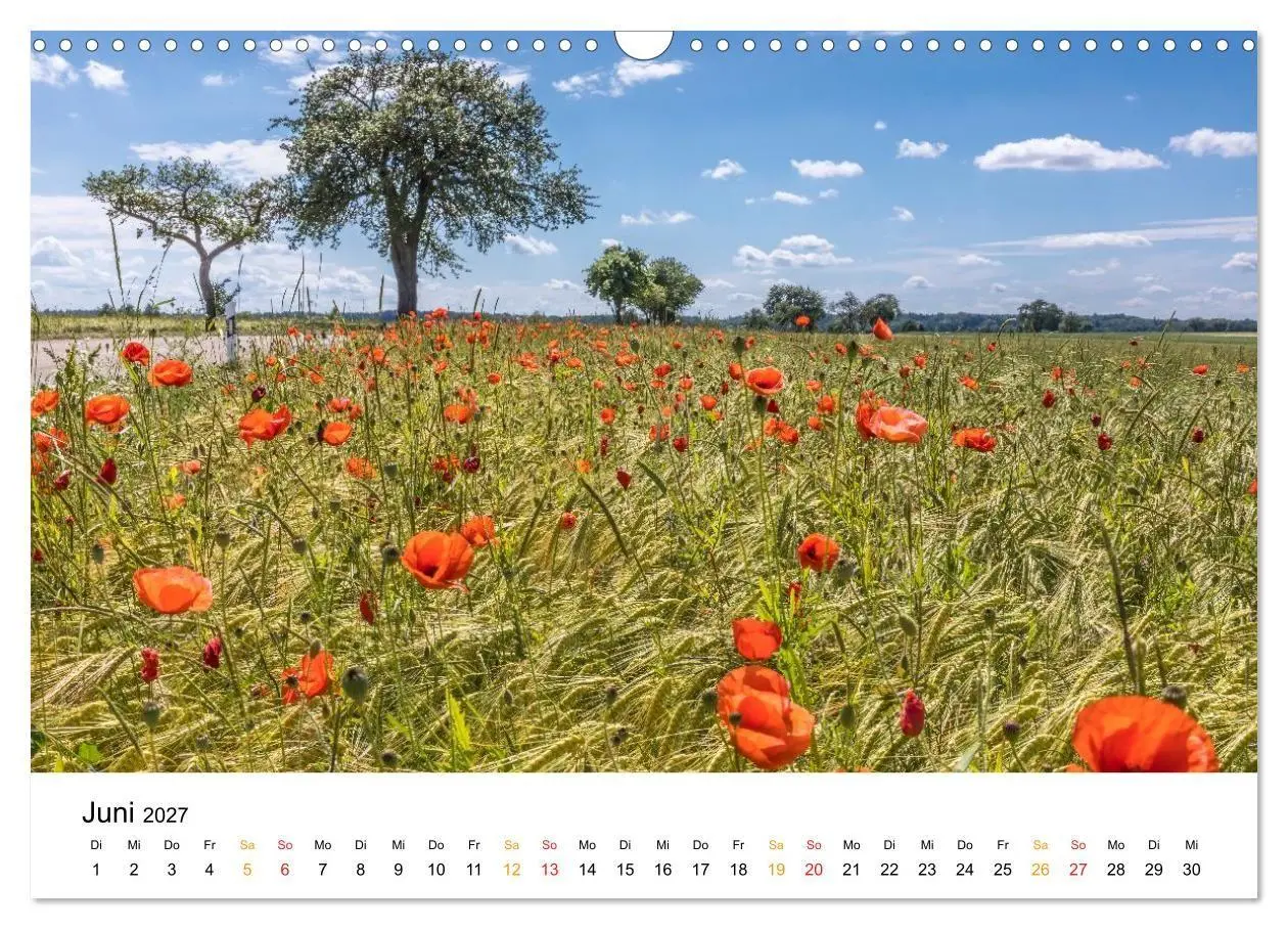 Bild: 9783594375068 | Unterwegs auf der Romantischen Strasse (Wandkalender 2027 DIN A3...