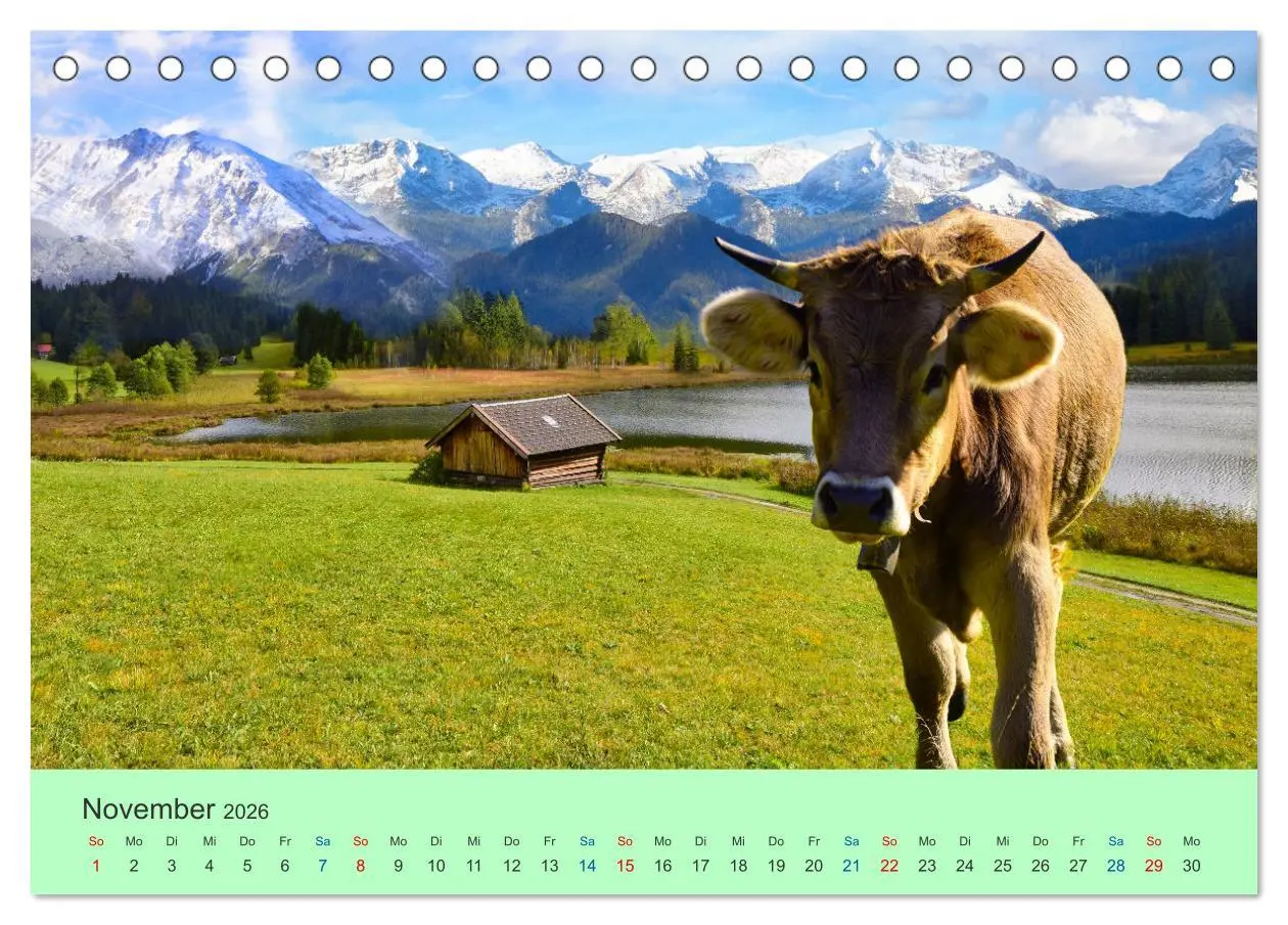 Bild: 9783457435168 | Zauber der Alpen (Tischkalender 2026 DIN A5 quer), CALVENDO...