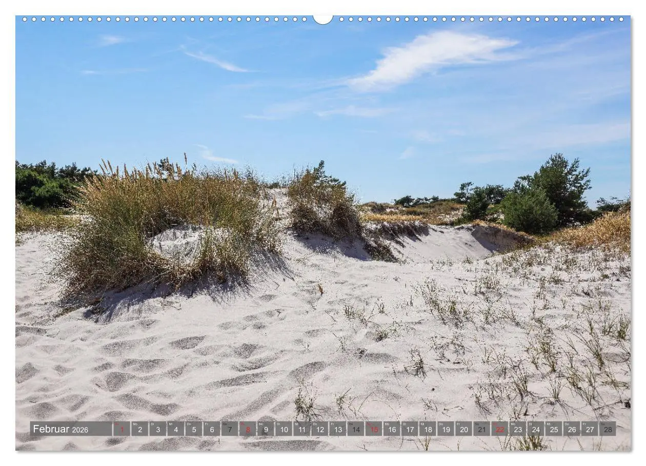 Bild: 9783457815168 | Fischland Darß Zingst - wie gemalt (Wandkalender 2026 DIN A2 quer),...