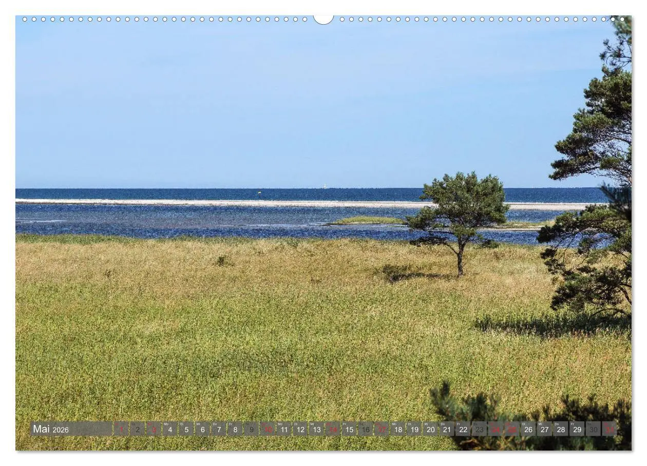 Bild: 9783457815168 | Fischland Darß Zingst - wie gemalt (Wandkalender 2026 DIN A2 quer),...