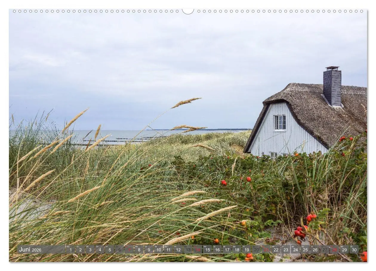 Bild: 9783457815168 | Fischland Darß Zingst - wie gemalt (Wandkalender 2026 DIN A2 quer),...