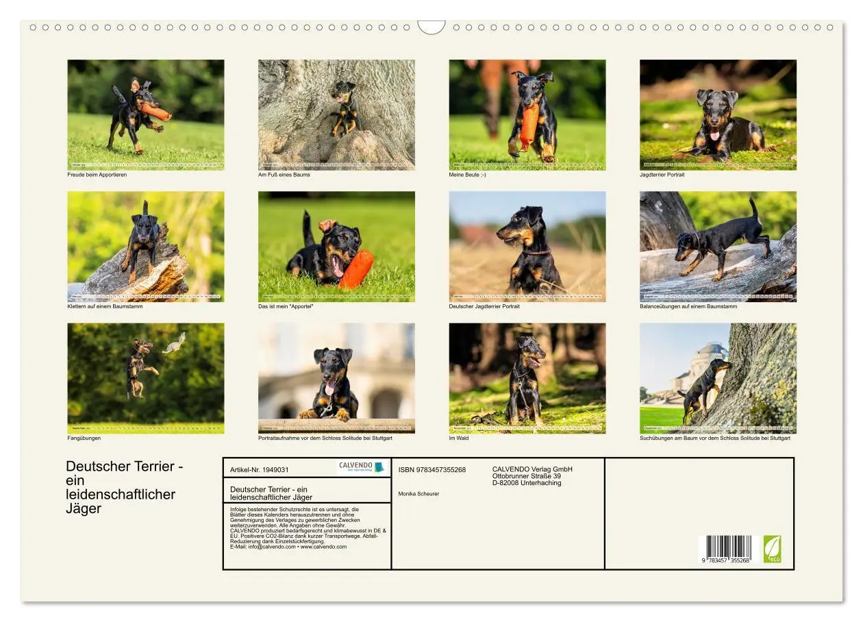 Bild: 9783457355268 | Deutscher Terrier - ein leidenschaftlicher Jäger (Wandkalender 2026...