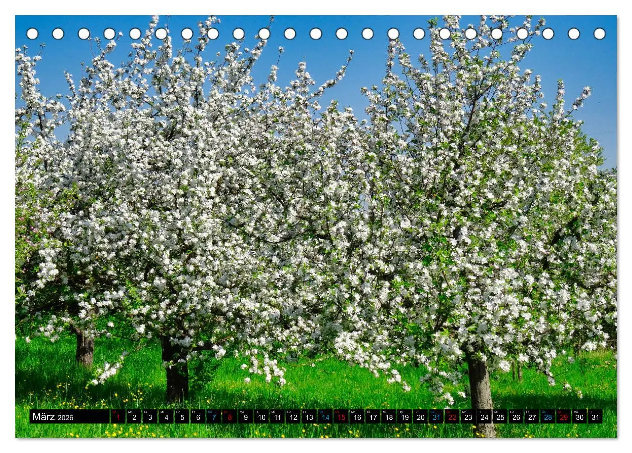 Bild: 9783457595268 | Weinstadt Strümpfelbach (Tischkalender 2026 DIN A5 quer), CALVENDO...
