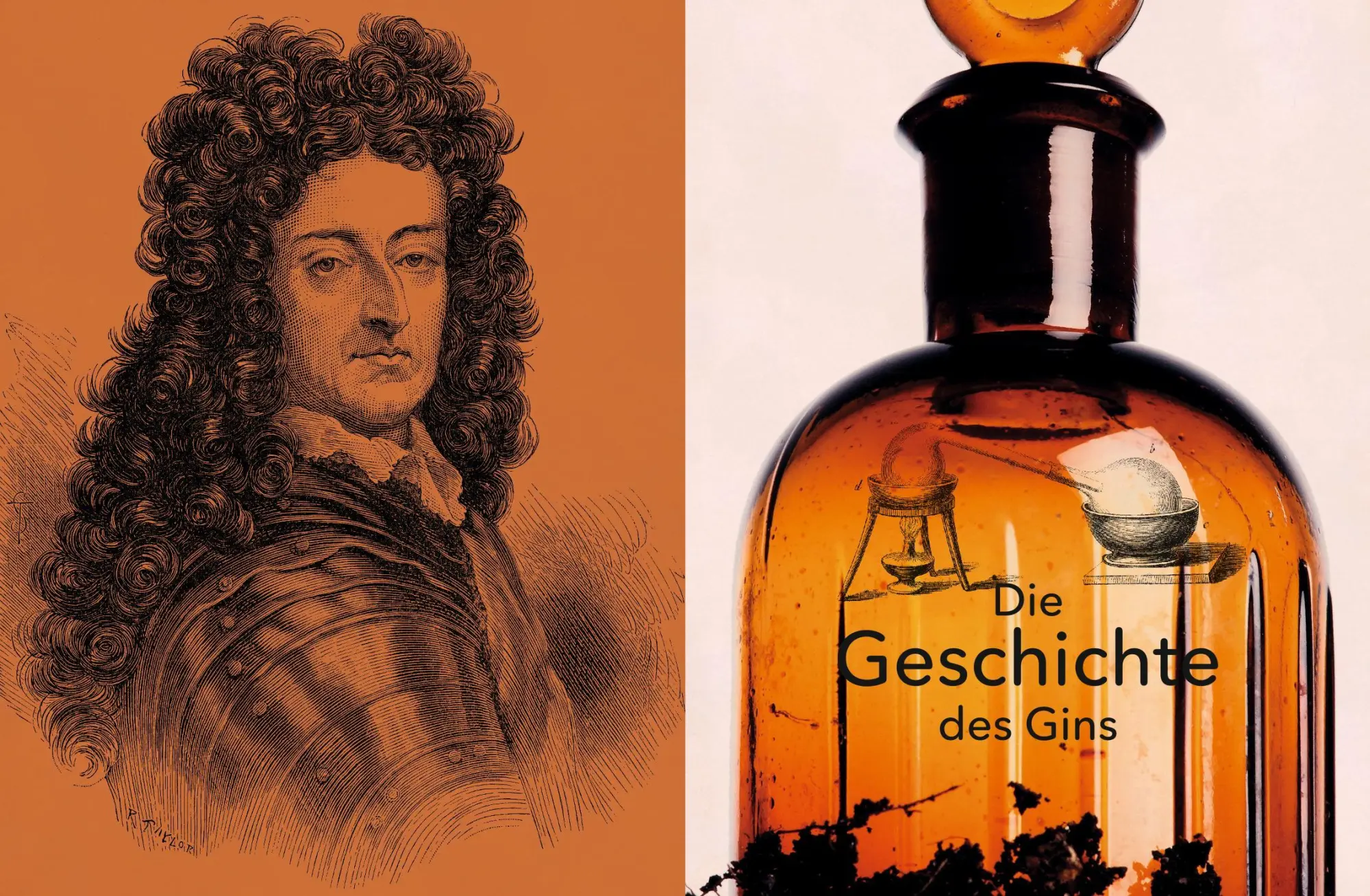 Bild: 9783833865268 | Der Ginatlas | Über 300 Gins aus allen Weltregionen | Aaron Knoll