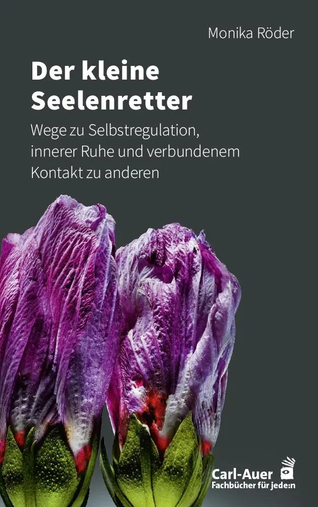 Cover: 9783849705268 | Der kleine Seelenretter | Monika Röder | Taschenbuch | 240 S. | 2024