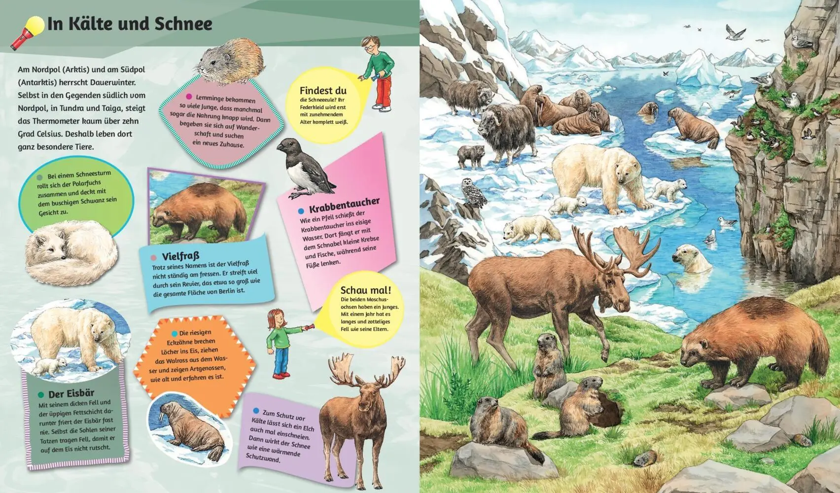 Bild: 9783849945268 | Mein Taschenlampenbuch Wilde Tiere | Sandra Noa | Buch | 14 S. | 2024
