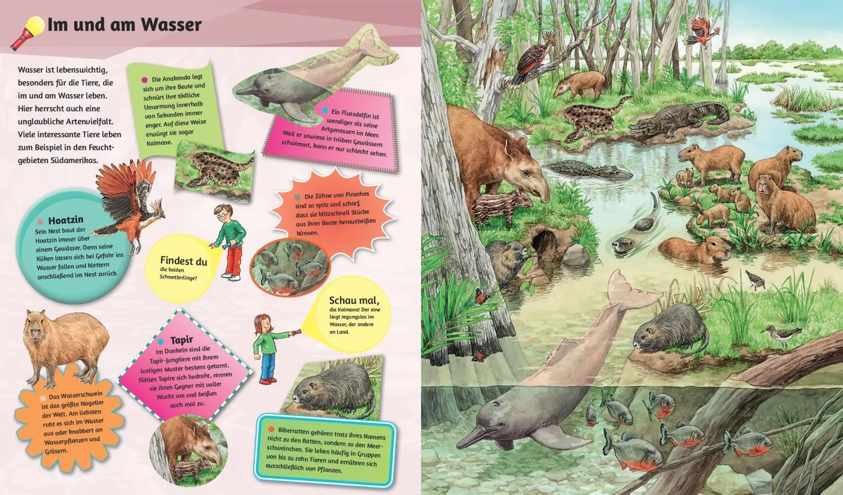 Bild: 9783849945268 | Mein Taschenlampenbuch Wilde Tiere | Sandra Noa | Buch | 14 S. | 2024