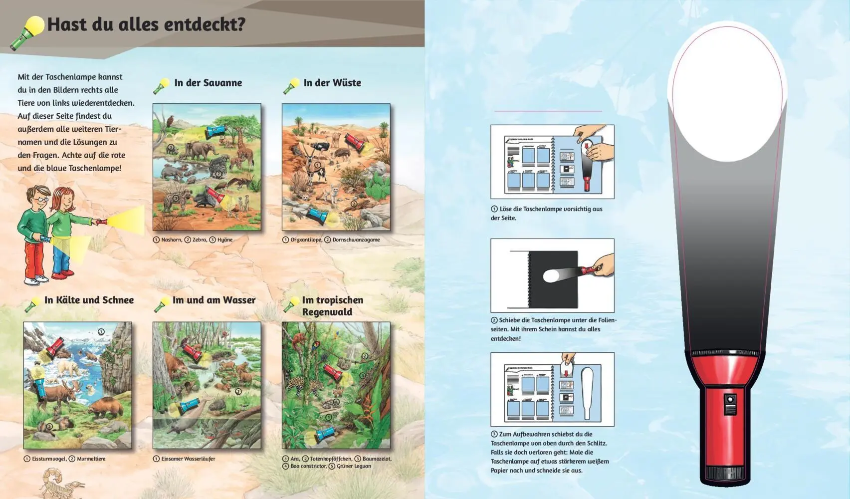 Bild: 9783849945268 | Mein Taschenlampenbuch Wilde Tiere | Sandra Noa | Buch | 14 S. | 2024