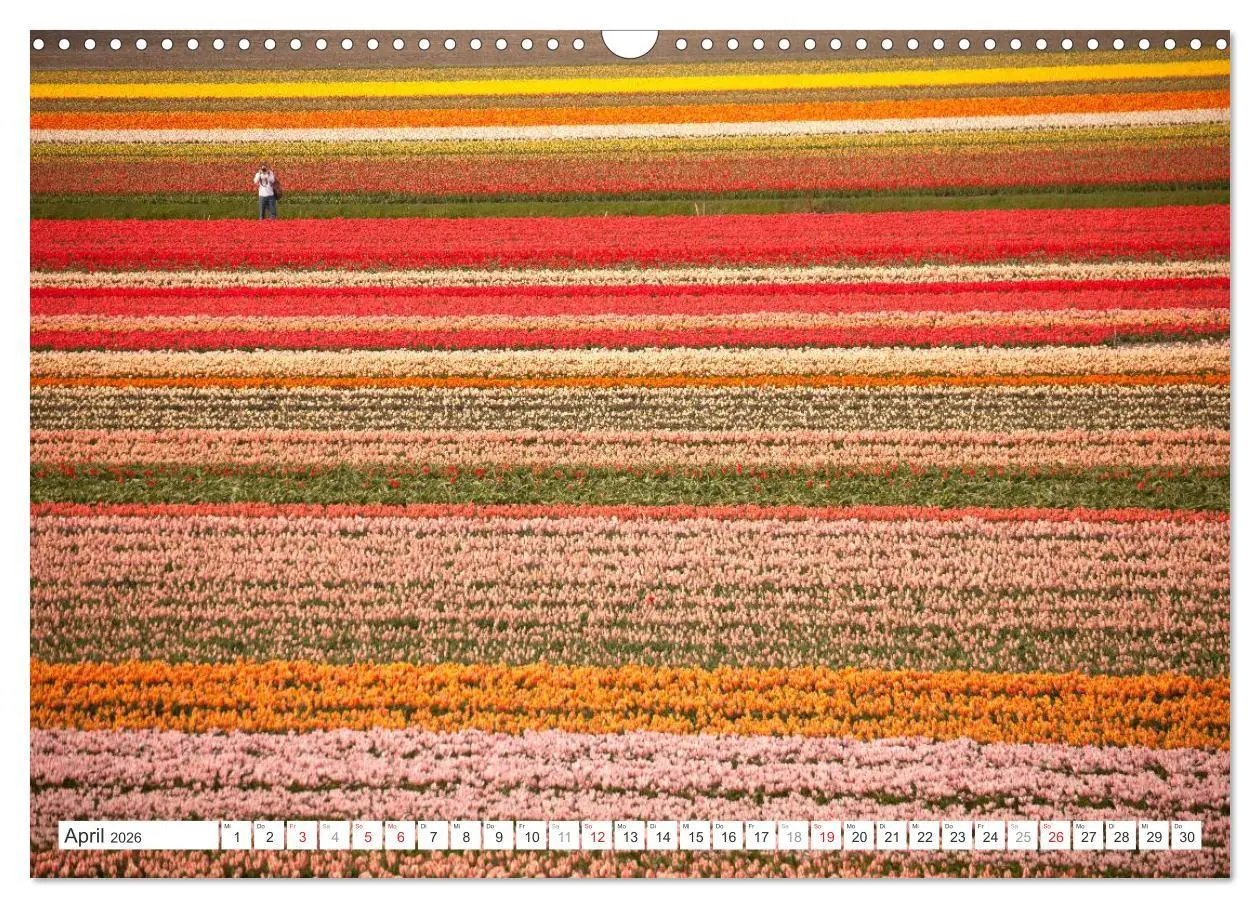 Bild: 9783457275368 | Die ganze Vielfalt der Niederlande (Wandkalender 2026 DIN A3 quer),...