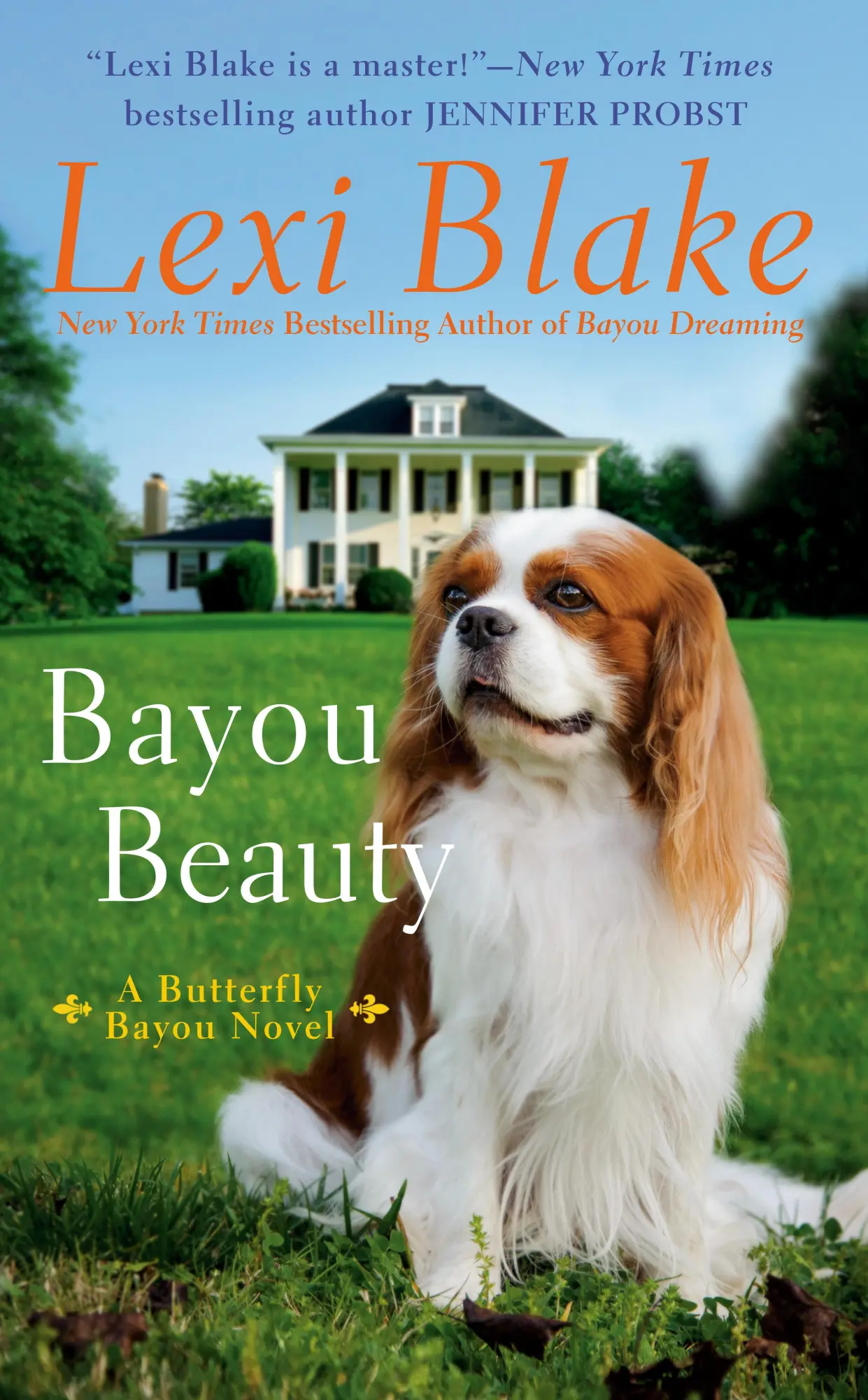 Cover: 9780593335468 | Bayou Beauty | Lexi Blake | Taschenbuch | Einband - flex.(Paperback)