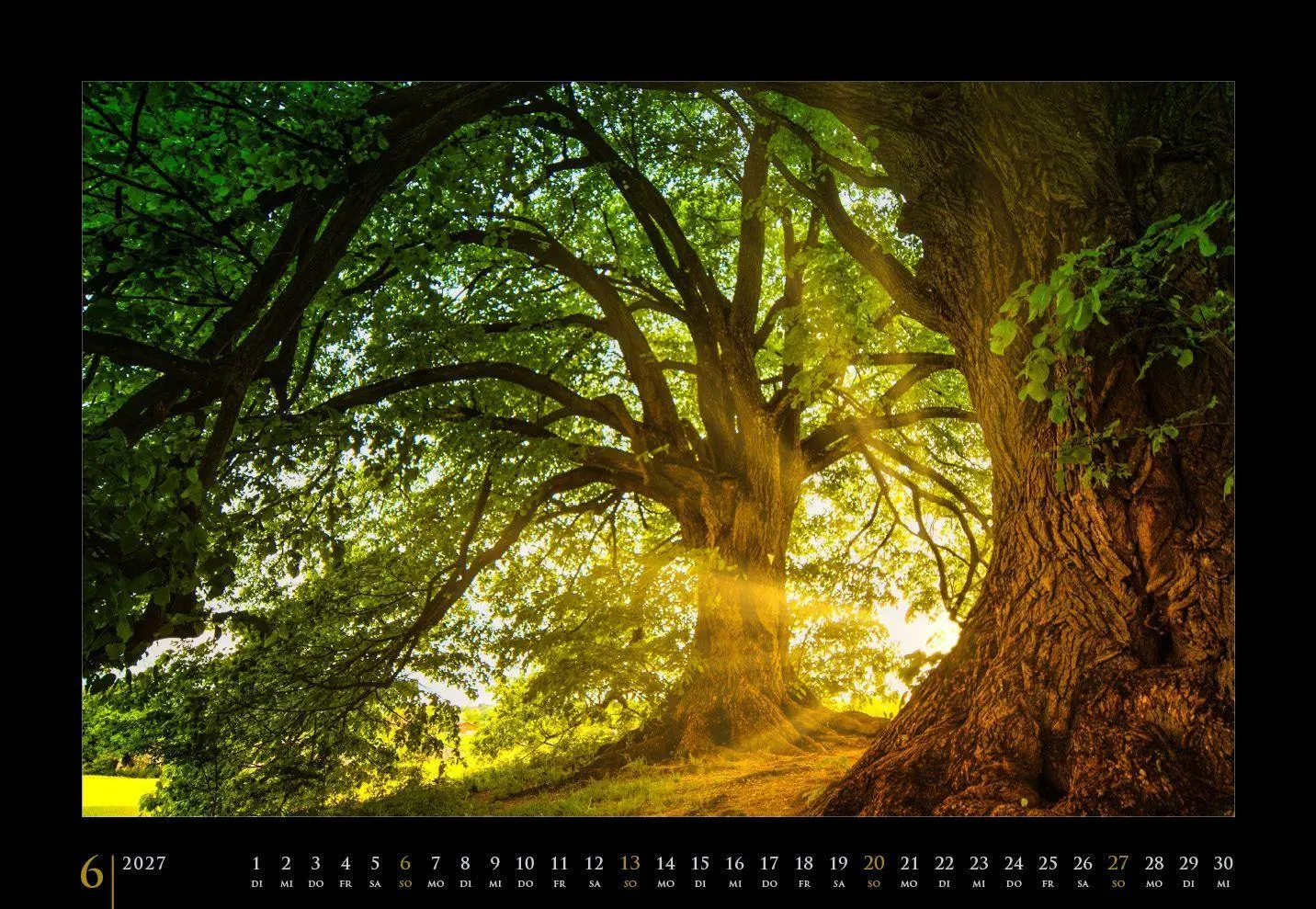 Bild: 9783925605468 | Stimmungen 2027 | Stimmungsvoll durch das Jahr | Kalender | Deutsch