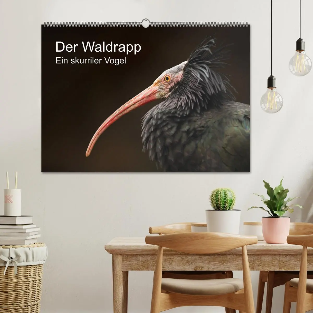Bild: 9783457705568 | Der Waldrapp - Ein skurriler Vogel (Wandkalender 2026 DIN A2 quer),...