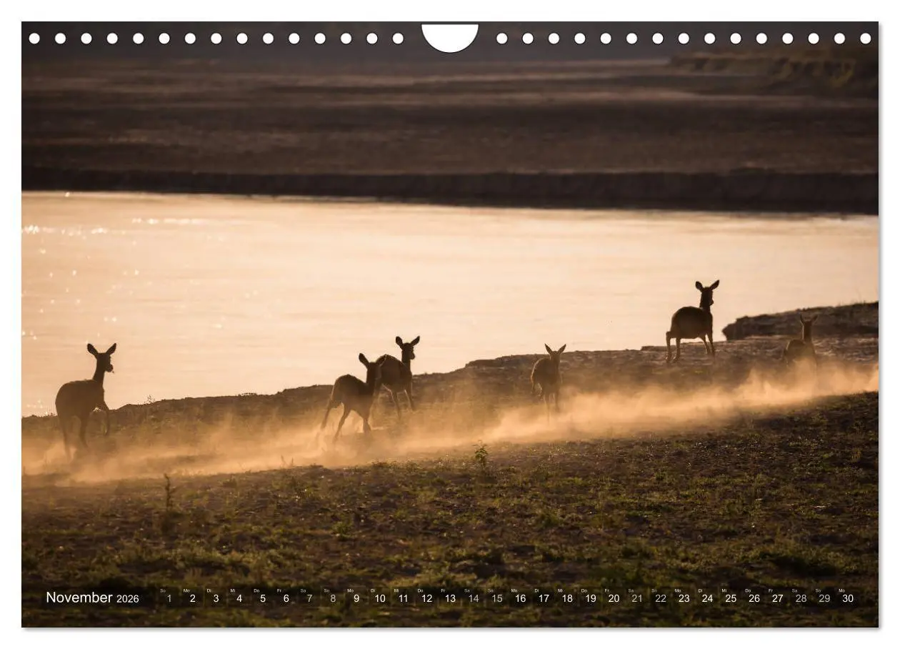 Bild: 9783457875568 | Abenteuer Sambia (Wandkalender 2026 DIN A4 quer), CALVENDO...