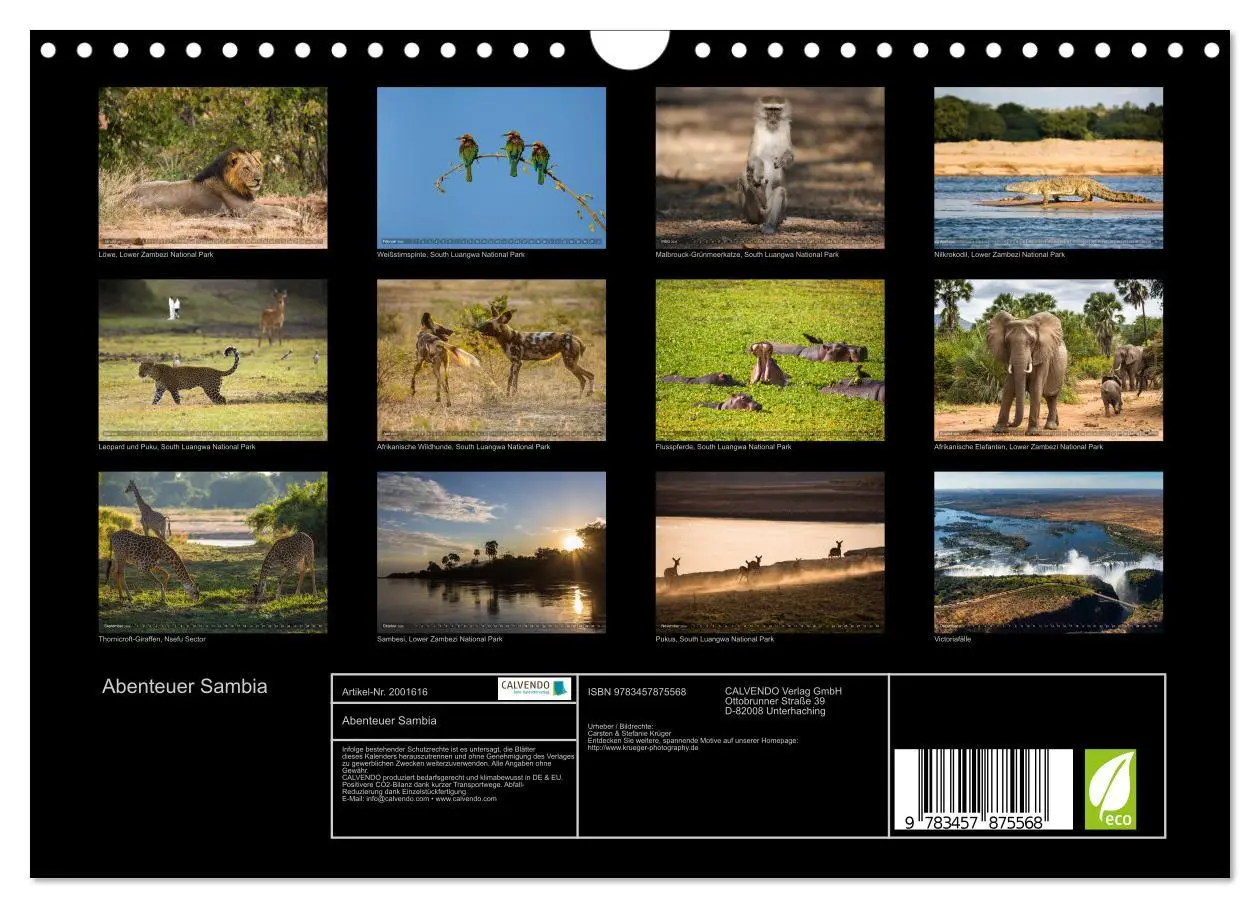 Bild: 9783457875568 | Abenteuer Sambia (Wandkalender 2026 DIN A4 quer), CALVENDO...