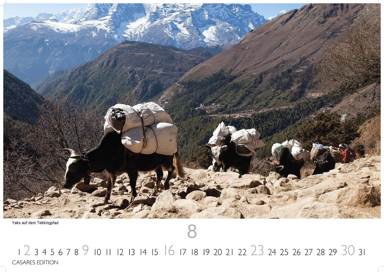 Bild: 9781835245668 | Nepal 2026 L 35x50cm | Kalender | 14 S. | Deutsch | 2026