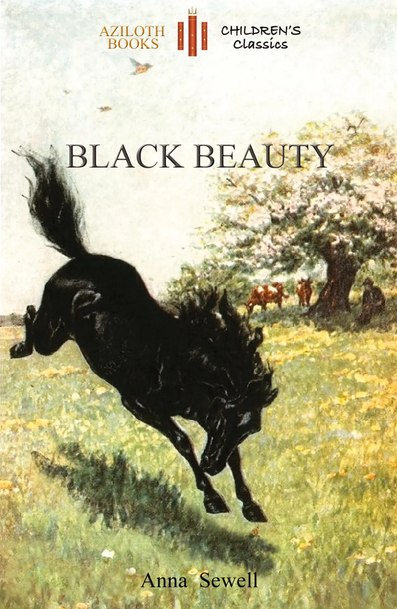 Cover: 9781909735668 | Black Beauty | Anna Sewell | Taschenbuch | Kartoniert / Broschiert
