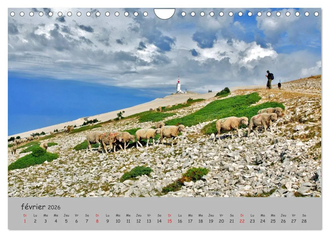 Bild: 9783516575668 | Le Mont Ventoux Le géant de Provence (Calendrier mural 2026 DIN A4...