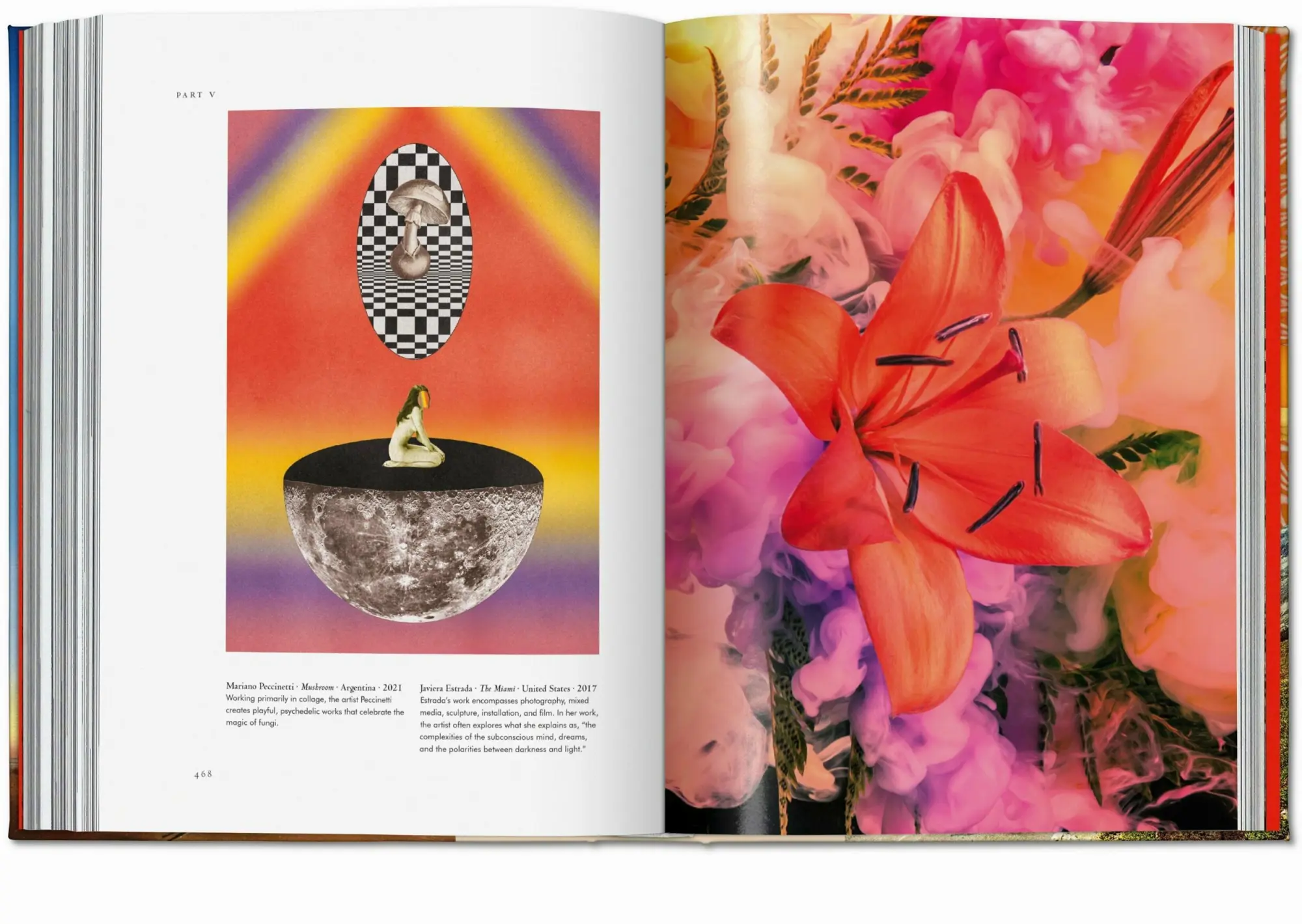 Bild: 9783836585668 | Pflanzen-Magie. Bibliothek der Esoterik | Jessica Hundley | Buch