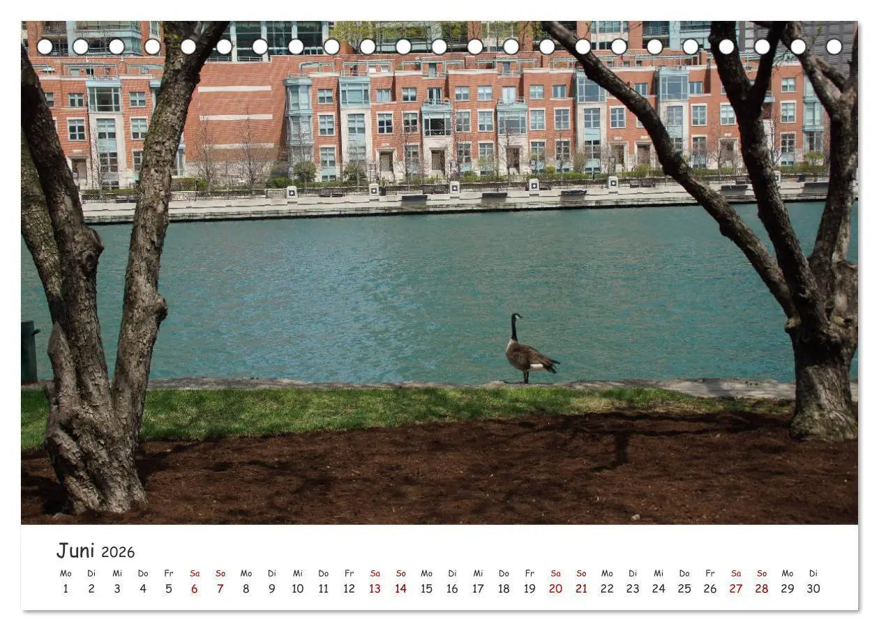 Bild: 9783457925768 | beeindruckendes Chicago (Tischkalender 2026 DIN A5 quer), CALVENDO...