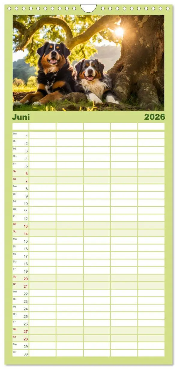 Bild: 9783516495768 | Familienplaner 2026 - Bauernhof-Freunde - Hunde und ihre tierischen...