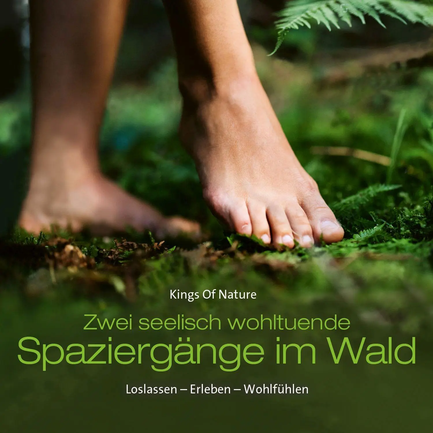 Cover: 9783957665768 | Spaziergänge Im Wald | Loslassen - Erleben - Wohlfühlen | Audio-CD