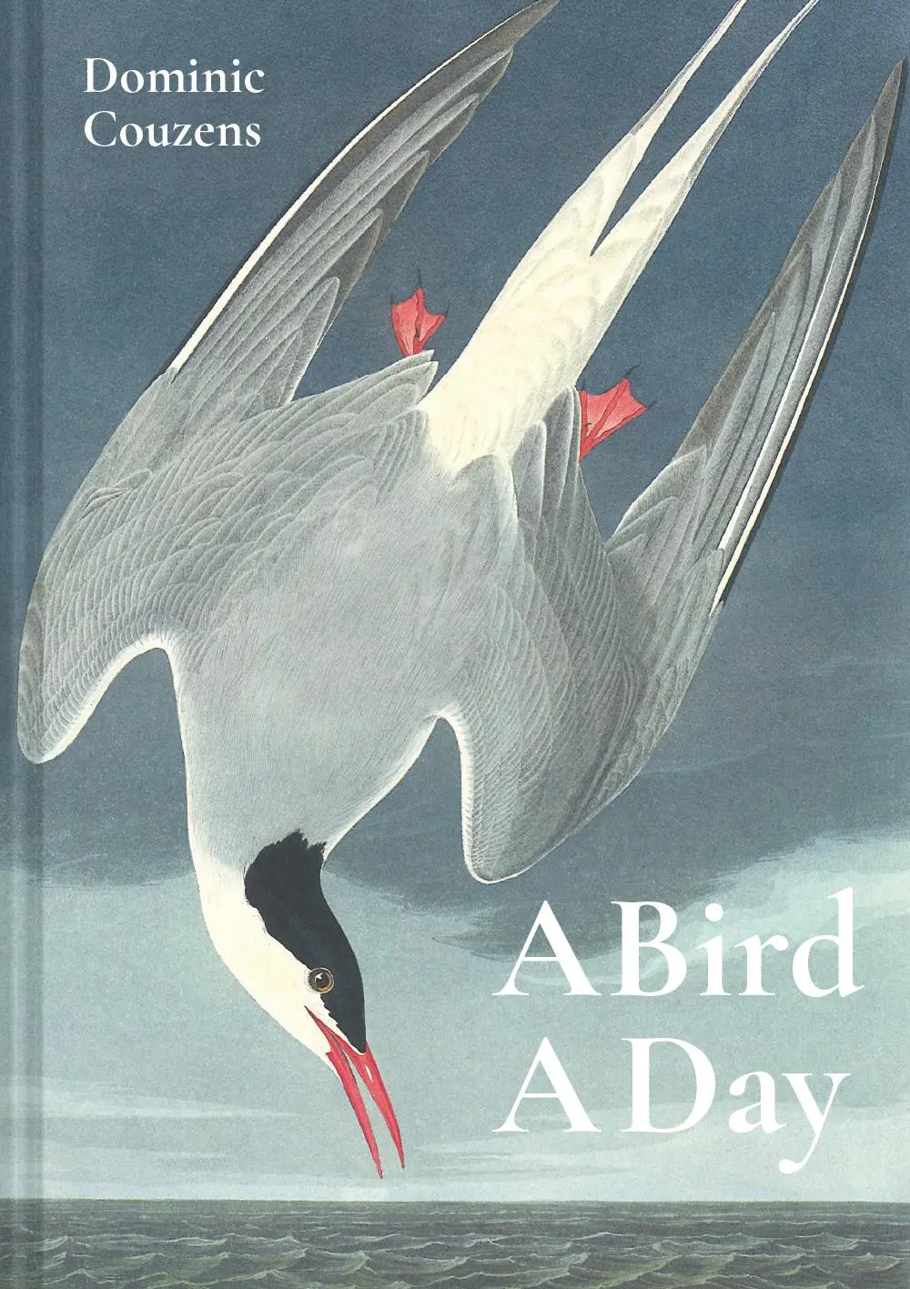 Cover: 9781849945868 | Bird a Day | Dominic Couzens | Buch | 368 S. | Englisch | 2020
