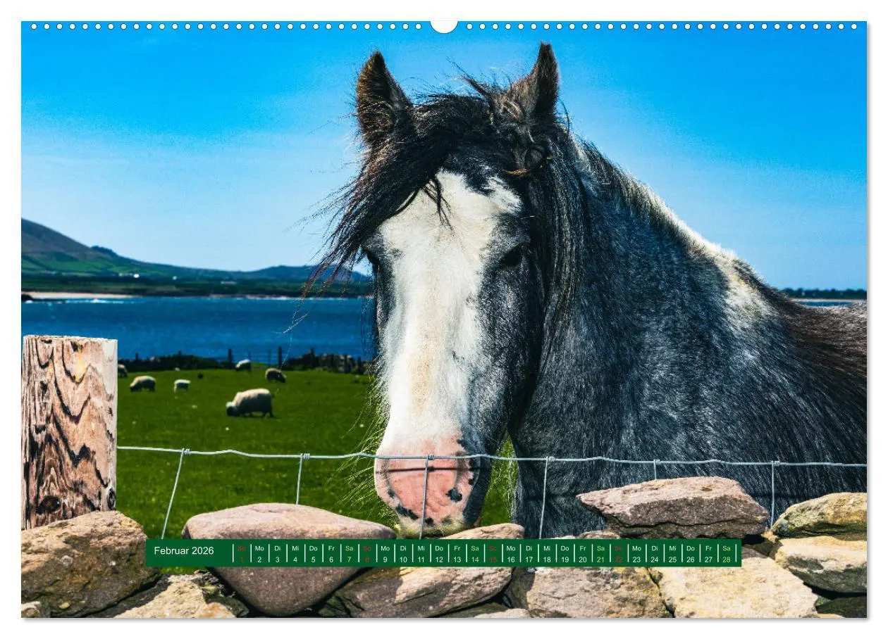 Bild: 9783457605868 | Wir sehen uns in Irland - Ring of Beara und Ring of Kerry...