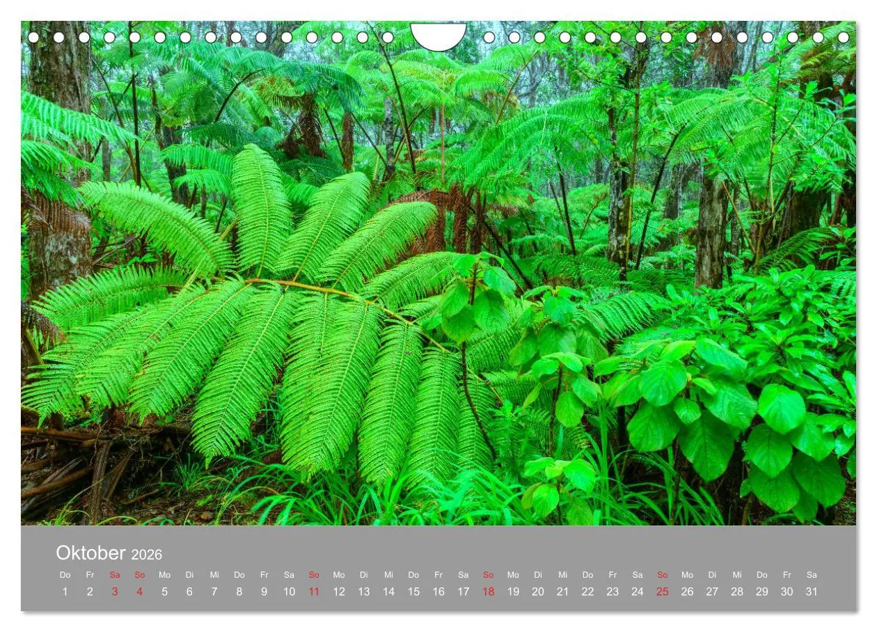 Bild: 9783457775868 | SPIRIT OF HAWAII (Wandkalender 2026 DIN A4 quer), CALVENDO...