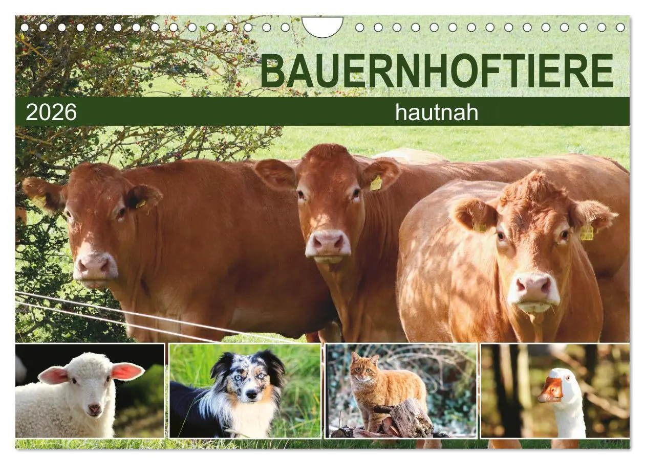 Cover: 9783457915868 | Bauernhoftiere hautnah (Wandkalender 2026 DIN A4 quer), CALVENDO...