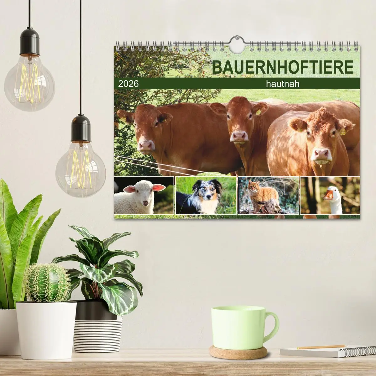 Bild: 9783457915868 | Bauernhoftiere hautnah (Wandkalender 2026 DIN A4 quer), CALVENDO...
