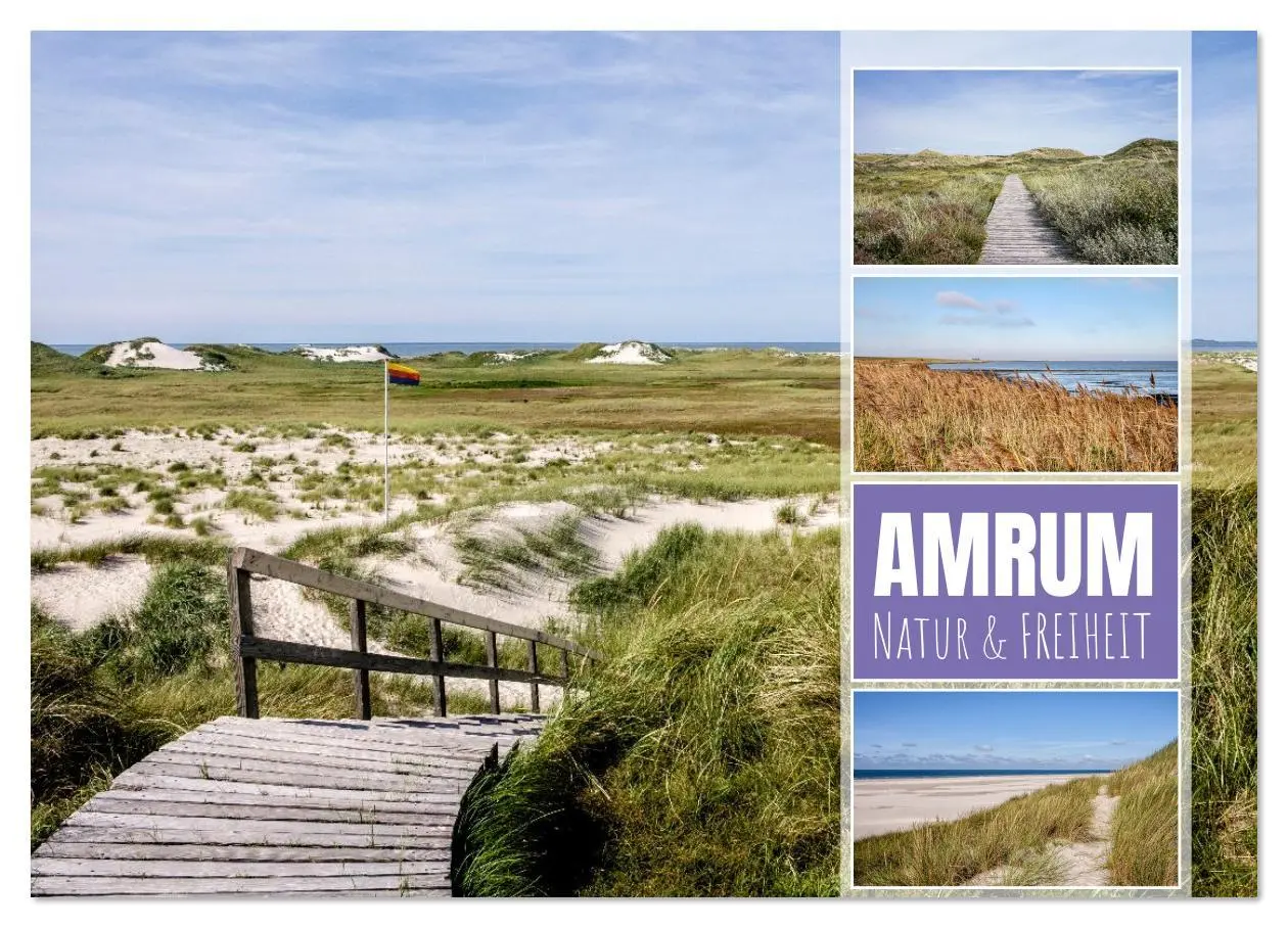Cover: 9783516625868 | Amrum: Natur und Freiheit (Wandkalender 2026 DIN A3 quer), CALVENDO...