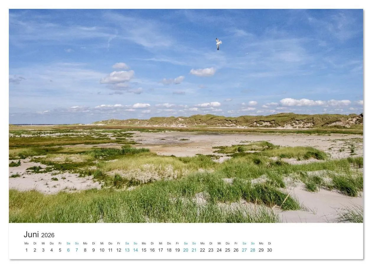 Bild: 9783516625868 | Amrum: Natur und Freiheit (Wandkalender 2026 DIN A3 quer), CALVENDO...