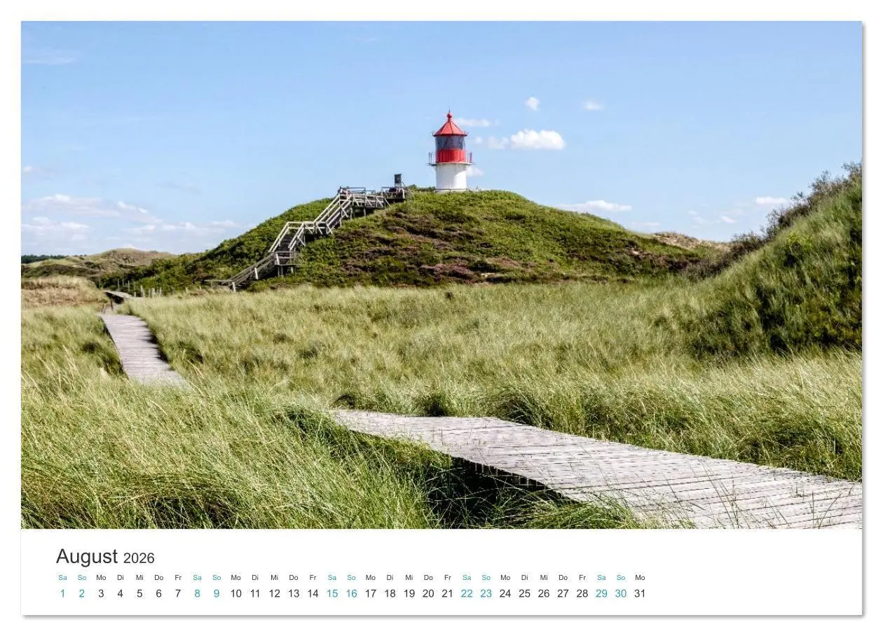 Bild: 9783516625868 | Amrum: Natur und Freiheit (Wandkalender 2026 DIN A3 quer), CALVENDO...
